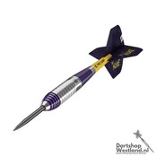 Luke Littler Brass Steeltip