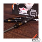 Dirk van Duijvenbode E2 90%