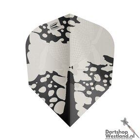 Vision Ultra Exo No.6 3 sets