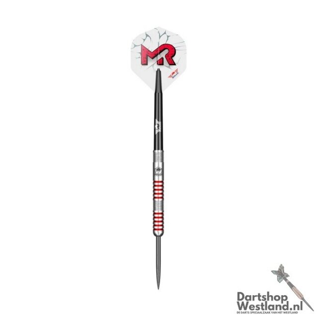 Mladen Radosavljevic 90% Steeltip