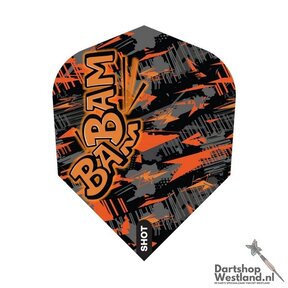 Bradley Brooks Flight No.6