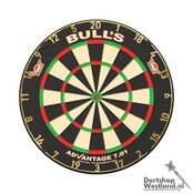 Advantage 701 Professional Dartboard