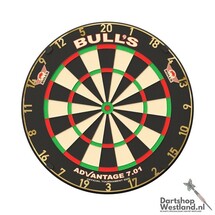Advantage 701 Professional Dartboard