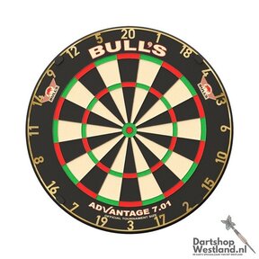 Advantage 701 Professional Dartboard