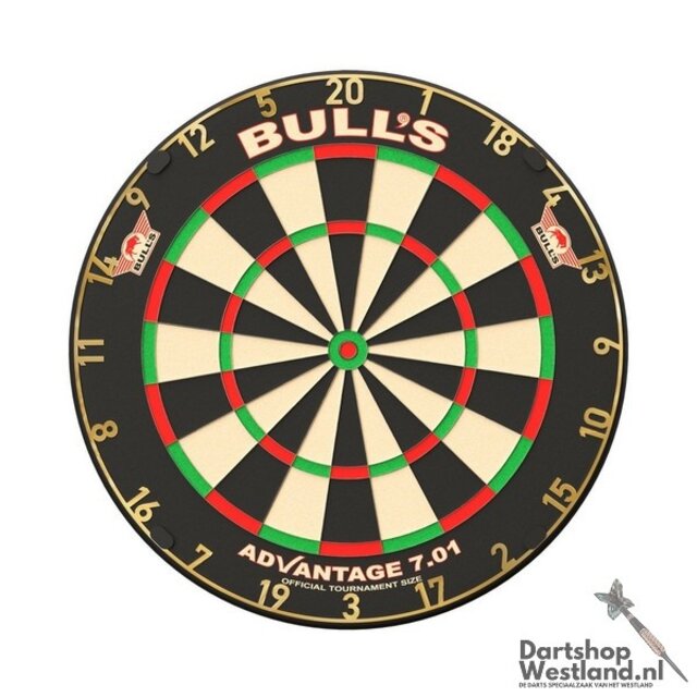 Advantage 701 Professional Dartboard