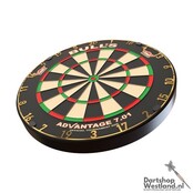 Advantage 701 Professional Dartboard