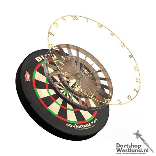 Advantage 701 Professional Dartboard