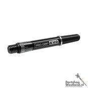 Raymond v Barneveld Chrono 95% Swiss