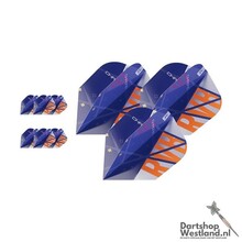 Ultra Player Raymond van Barneveld Chrono 3 sets