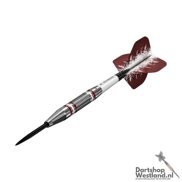 Madars Razma Darts 95% Tungsten