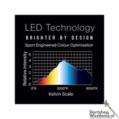 Plasma Ice 360 Dartboard Light