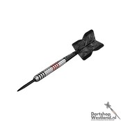 Mission Wessel Nijman Darts