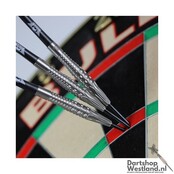 Smoke 90% Silver Ash