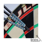 Nicolas Thuillier 90%