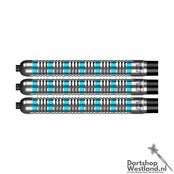 Nicolas Thuillier 90%