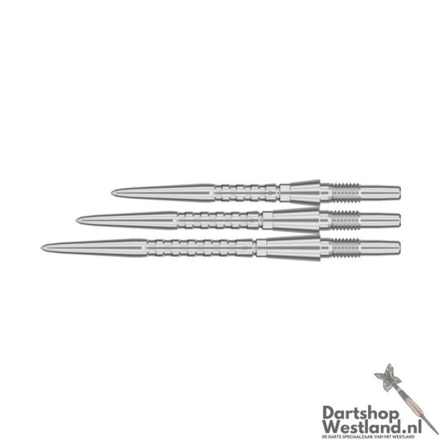 Swiss Points Storm Surge Silver