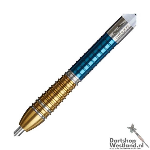 Gary Anderson Duo P6 90%