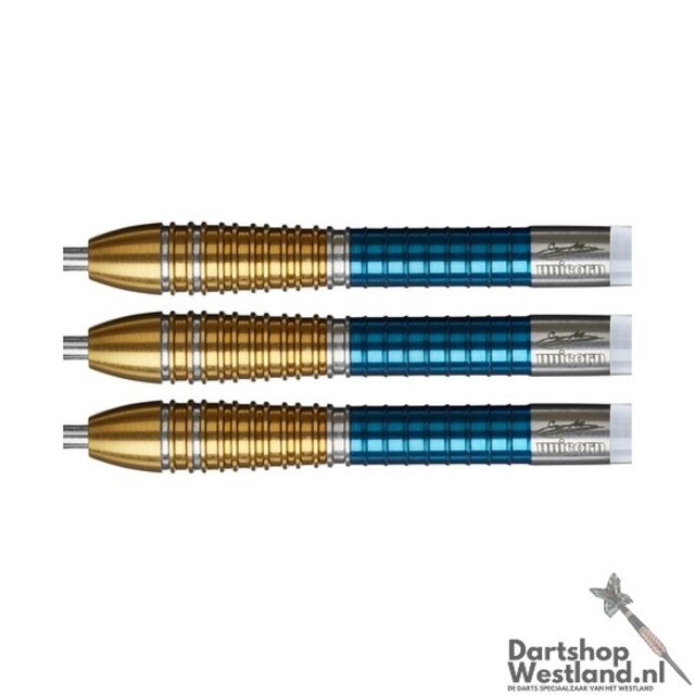 Gary Anderson Duo P6 90%