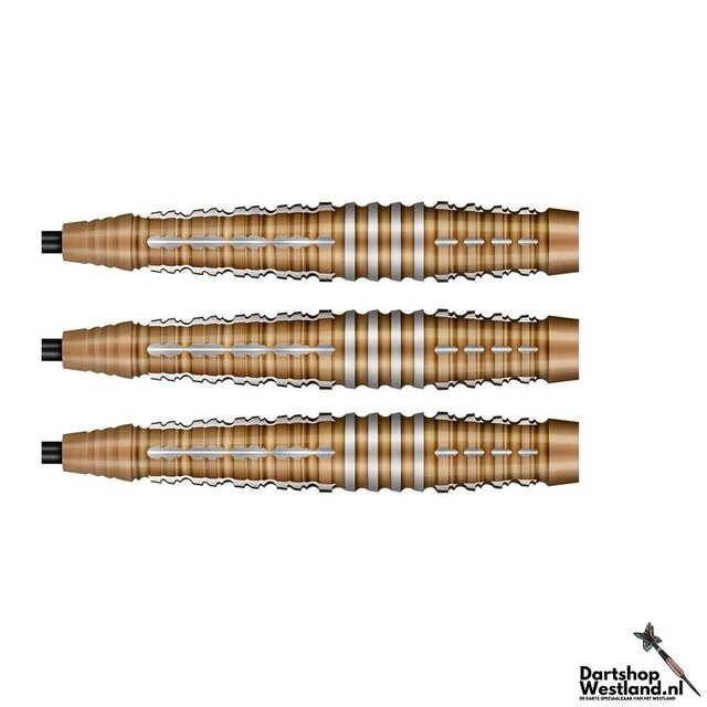 Future Knights Hachette 90%