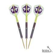 Luke Littler World Champion 90% Swiss Steeltip