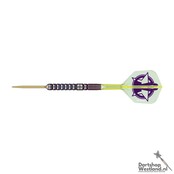 Luke Littler World Champion 90% Swiss Steeltip