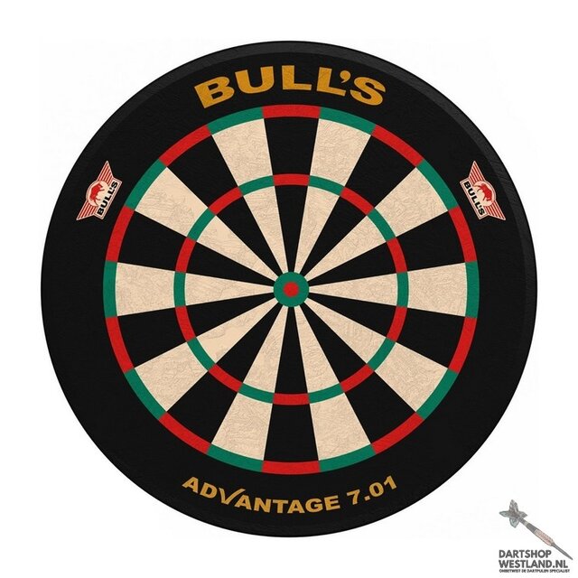 Advantage Mini Dartboard Display