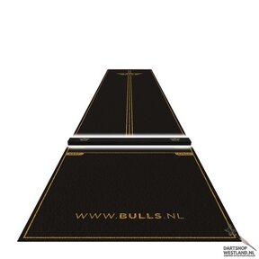 Advantage Carpet Dartmat + Oche 300x85