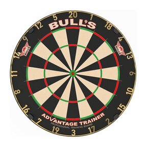 Gold Advantage Trainer Dartboard