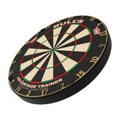 Gold Advantage Trainer Dartboard