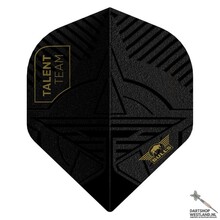 Player 100 Talent Team No.2