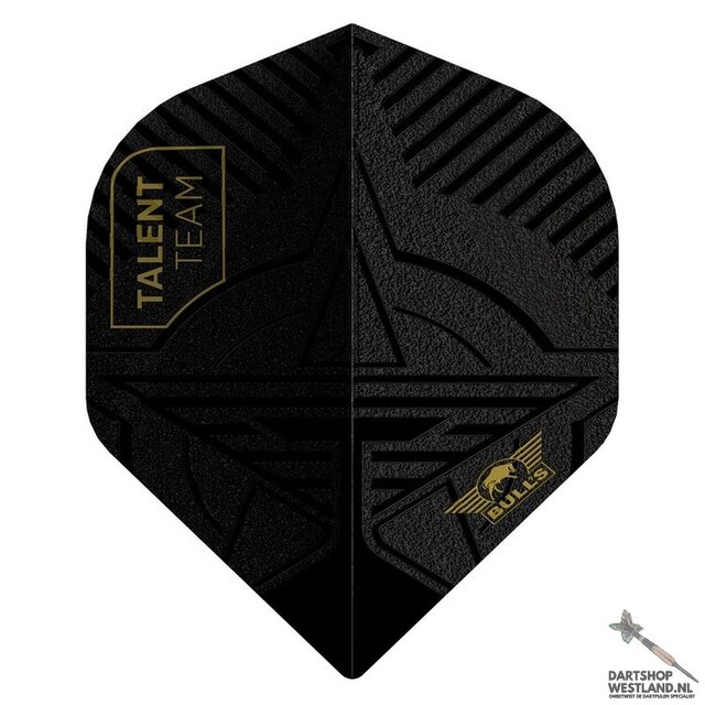 Player 100 Talent Team No.2