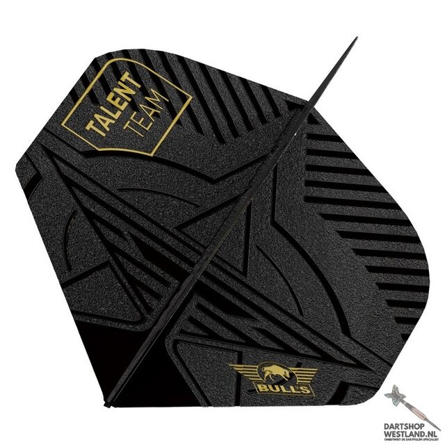 Player 100 Talent Team No.2