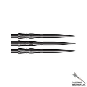 Cone Steel Tip Points Scallop
