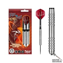 Birds of Prey Osprey 80%