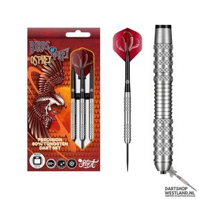 Birds of Prey Osprey 80%