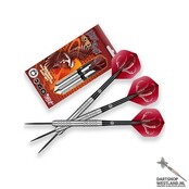 Birds of Prey Osprey 80%