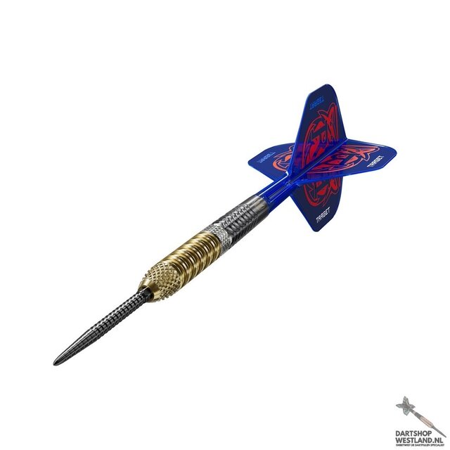 Raymond van Barneveld G6 95% Swiss