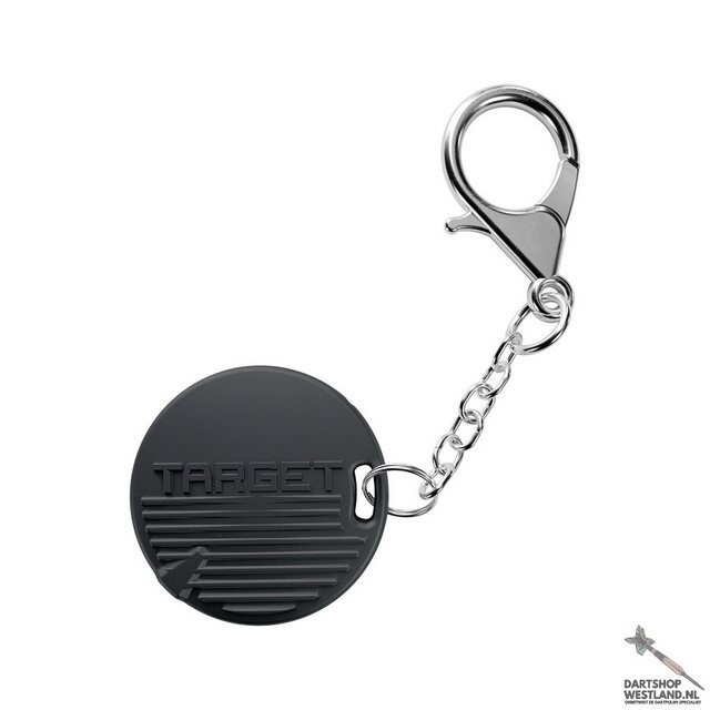 Raymond van Barneveld G6 95% Swiss