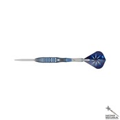 Phil Taylor Power Gx2 95% Swiss