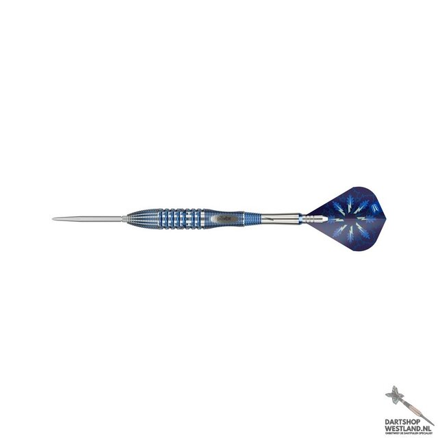 Phil Taylor Power Gx2 95% Swiss