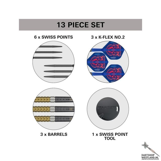 Raymond van Barneveld G6 95% Swiss