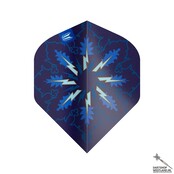 Phil Taylor Power Gx2 95% Swiss