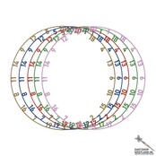 Colorful Matt Number Ring