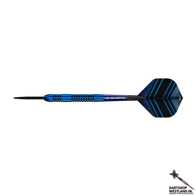 Lex Paeshuyse Darts - Steel Tip - 90% Tungsten - Blue & Black