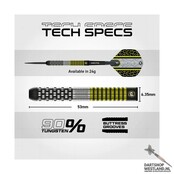 Cori Wiltshire darts