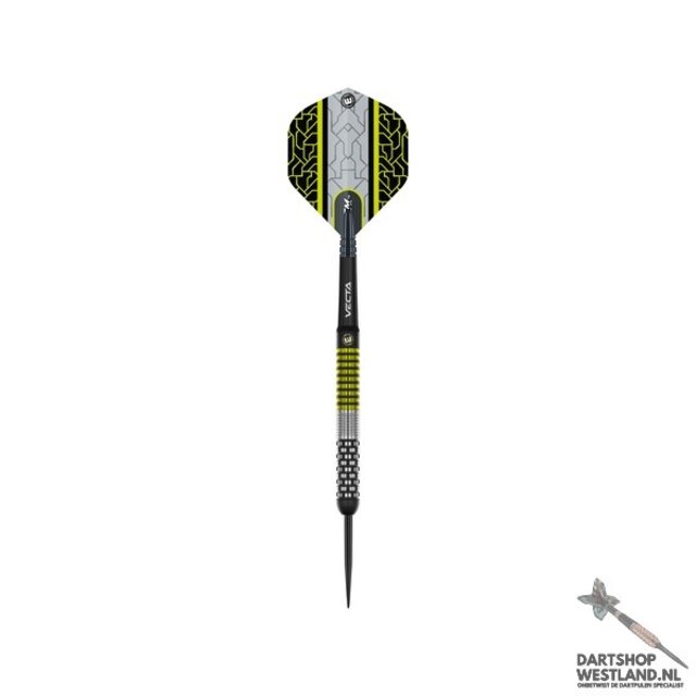 Cori Wiltshire darts