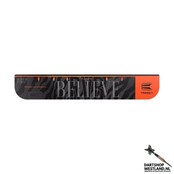 Raymond van Barneveld Throw Line