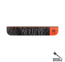 Raymond van Barneveld Throw Line