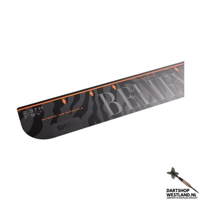 Raymond van Barneveld Throw Line