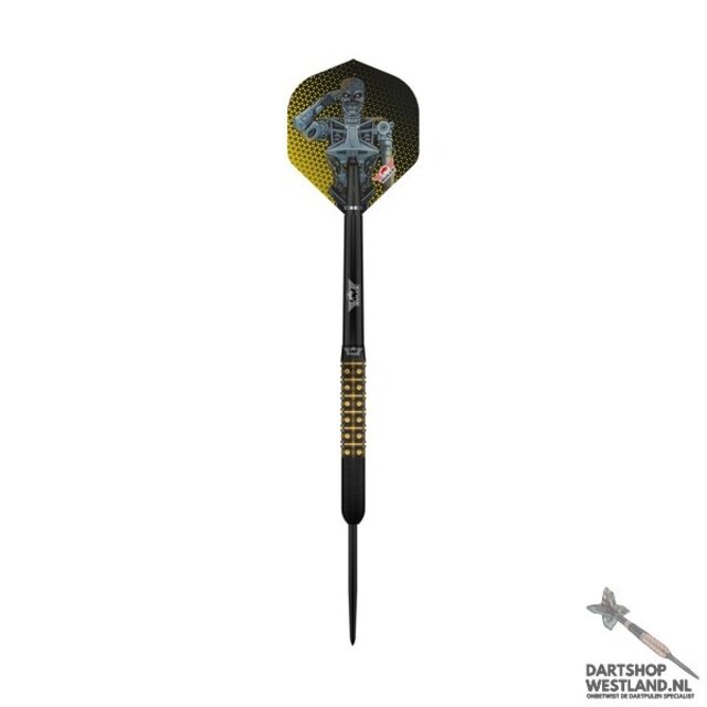 Marvin van Velzen 95%